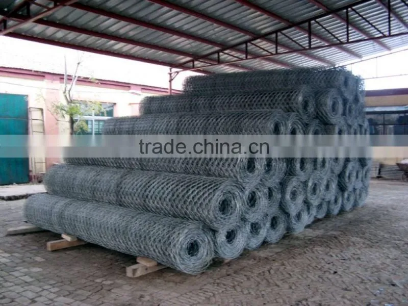 Hexagonal Wire Netting high quality