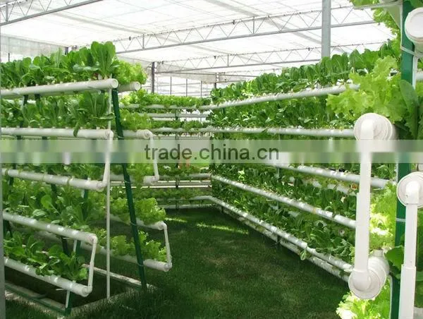 Competitive Hydroponic Plantation PVC Trunking & Fittings