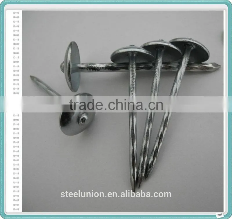 2.5 Inch Umbrella Head Galvanized Twisted Shank Roofing Nails