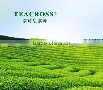 Huangshan Tianzhuang Industry Co., Ltd. company overview - view 1