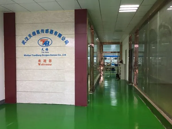 Wuhan TIANBANG Oxygen Sensor Co., Ltd company overview - view 2