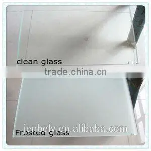 8mm CustomizableTempered Glass Shower Screen
