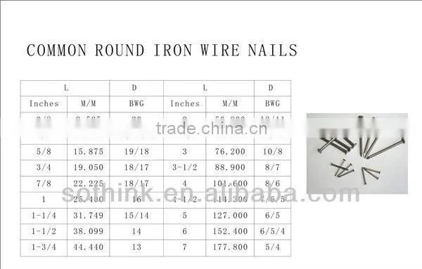 Common Wire Nail iron nail with best quality