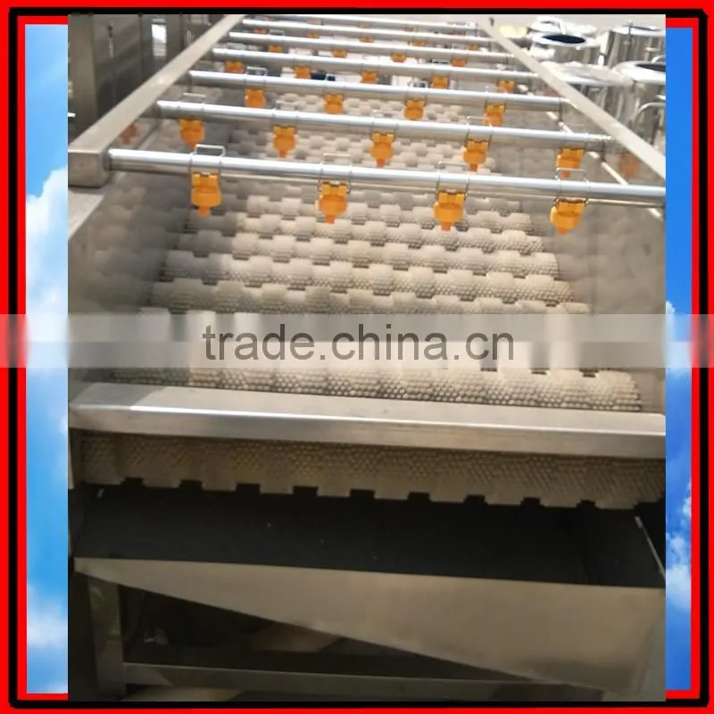 Automatic Brush Date Cleaning Machine|Ginger Washer and Cleaner Machine