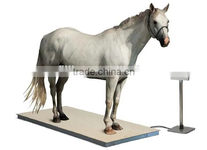 Heavy Duty Horse Scale