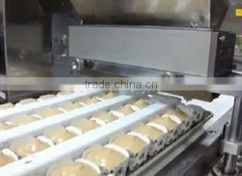 biscuit cookies machine for making cookies
