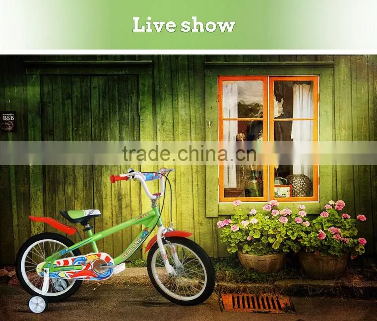 carbon bicycle for girls