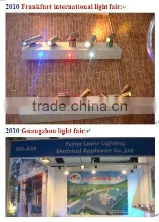 316Stainless steel body and aluminum decorative lighting