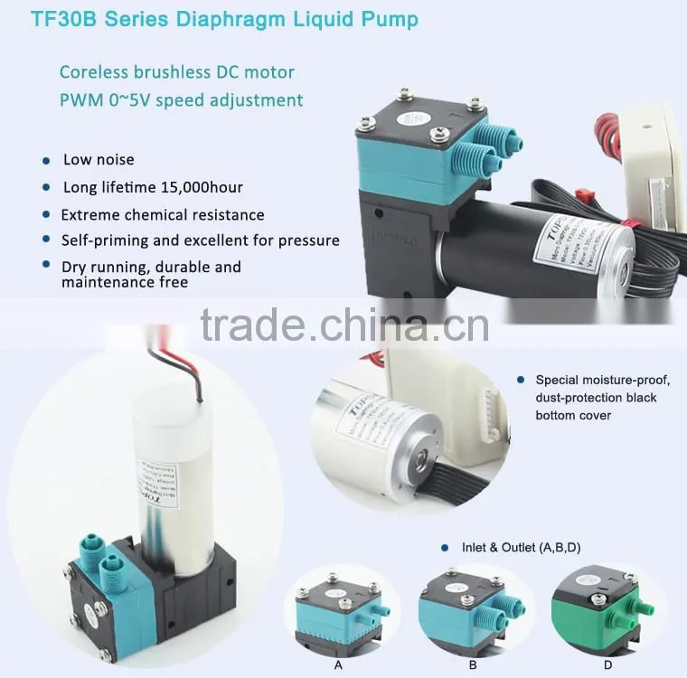 Diaphragm 12v 24v Liquid pump