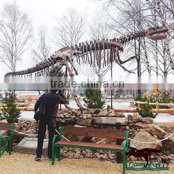 Jrassic Park Realistic Dinosaur Skeleton For Sale