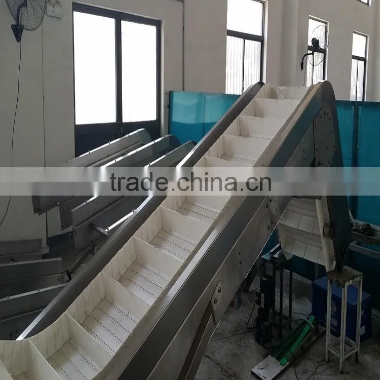 Cleaning Modular Belt Conveyor