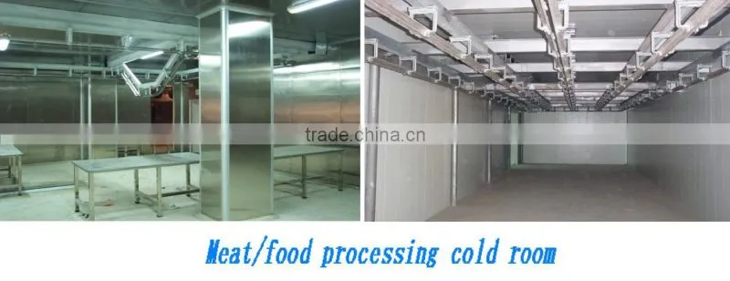 High quality standard cold room for frozen fish
