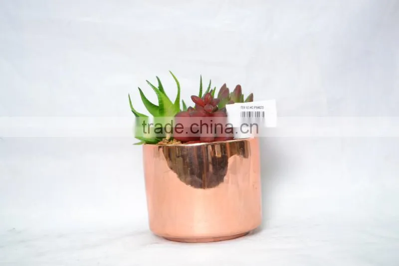 Mini Artificial succulent plants with plastic pot for indoor decoration