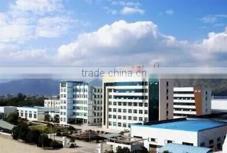 Zhejiang Cangnan Instrument Group Co., Ltd. company overview - view 4