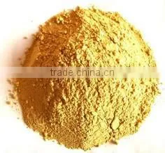 Pure and Natural Horsetail powder, Equisetum arvense extract powder, Silica 7%