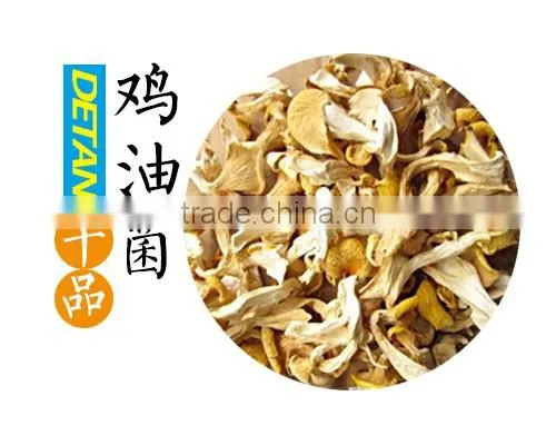 Whole Fresh Cantharellus Cibarius Professional Supplier