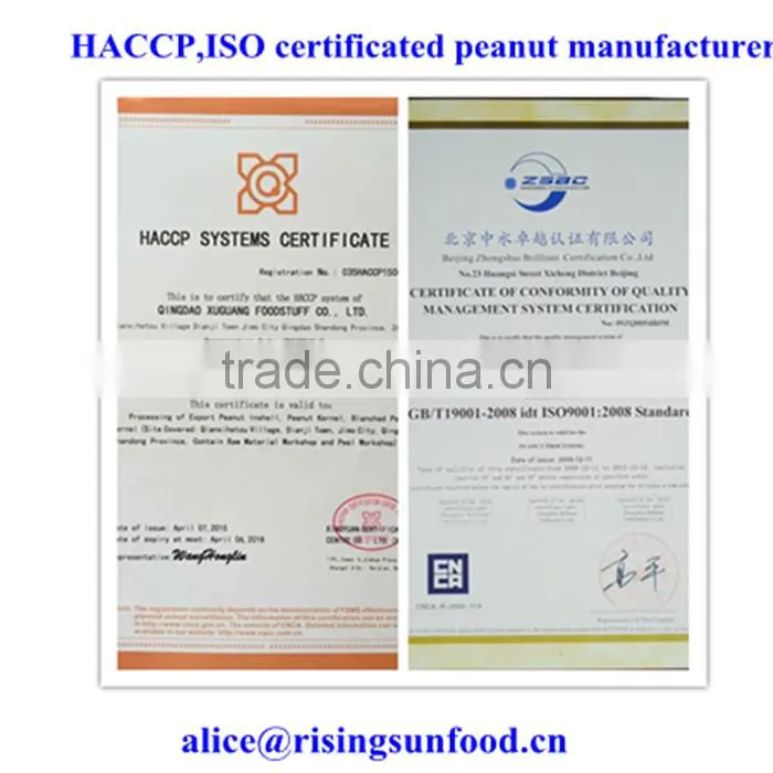 2016 new arrival groundnut blanched peanuts