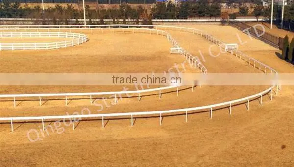 Horse Racing Rail