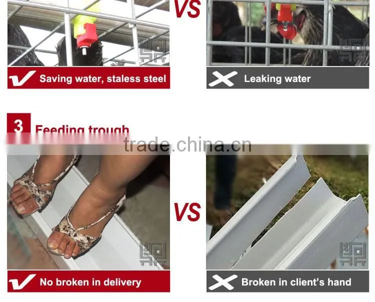 CHINA sales promotion 80 dollars this month chicken coop supplies