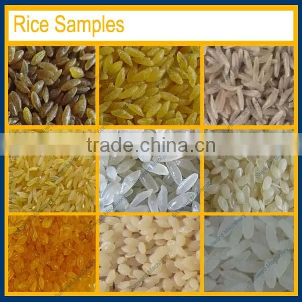 Top Quality Artificial Rice Processing Equipment