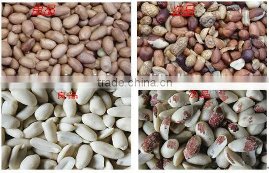 Belt Type Peanut Color Sorter for Sale 0086 371 65866393