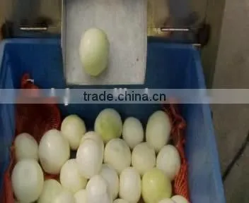 Peel Onion-by Completely Automatic Onion Peeler