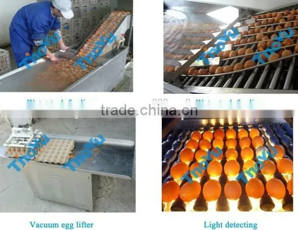 Salable High efficiency Big capacity Stainless steel Egg yolk and protein separating machine made in China