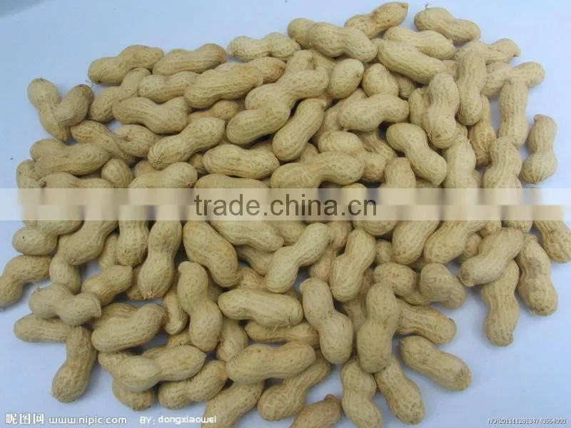 china farm machinery manufacturer of small scale peanut huller machine