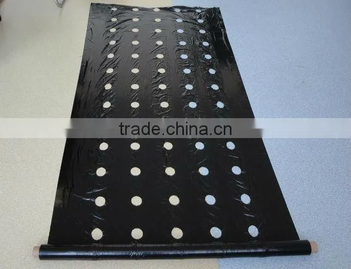 Best price! agricultural garden greenhouse film for export