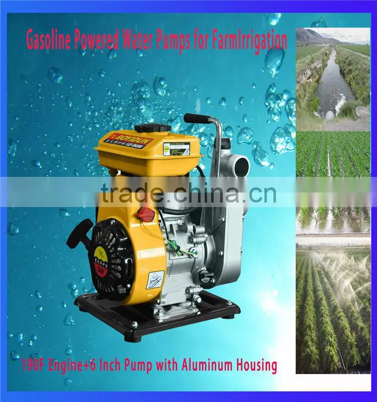 Water Pump for IRRIGATION Manufacturer from China