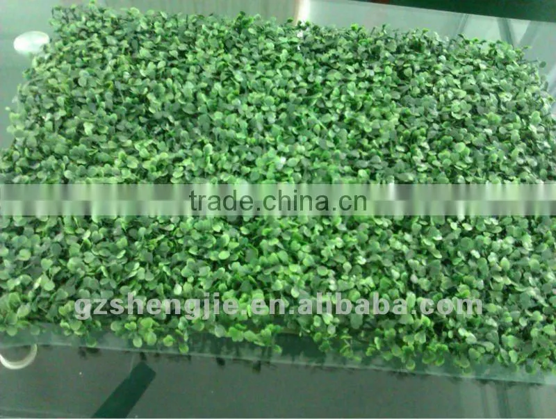 Boxwood artificial natural grass for restaurant wall and roofing decoration