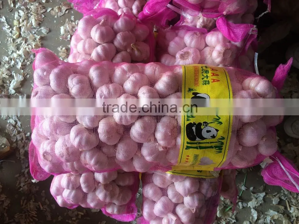 Pure White Garlic, Super White Garlic, Snow White Garlic 600G 700G 800G 7Kg 8Kg Mesh Bag For Kuwait