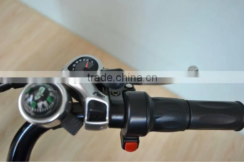 electric bicycle/strong electric bicycle/electric mobility bicycle (LD-EB103)