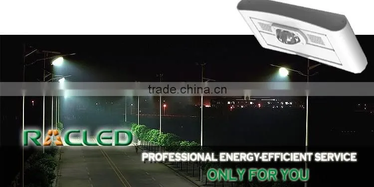 new COB modular led street light 40W with high lumens and MW driver