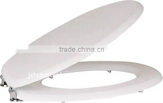 unique toilet seat