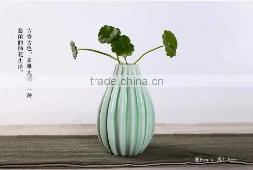 A Hydroponic Plant Floret Bottle of Flower HY167201