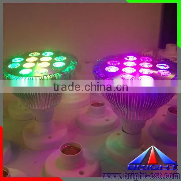12W LED Par38 Light with RGB Controller