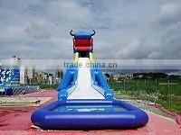 Outdoor Adults Inflatable Slide
