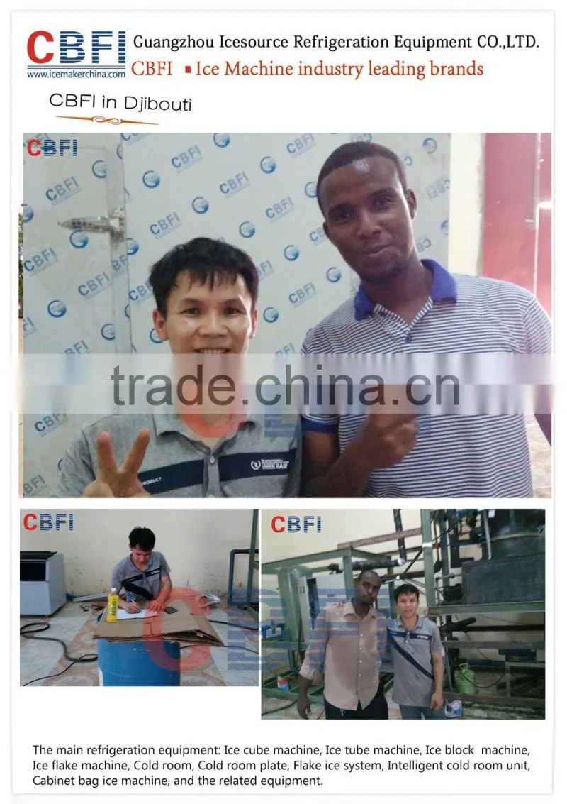 12 tons in Africa country ice plant Ice Tube Machine Edible ice