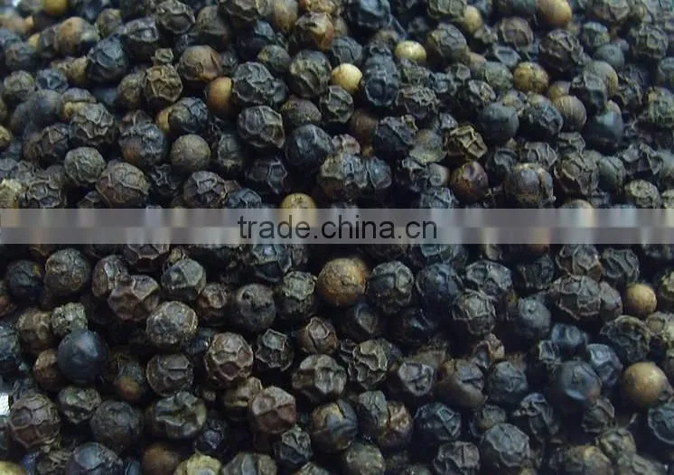 BEST PRICE VIETNAM FRESH GINGER