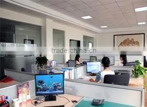 Henan Leeho Trading Co., Ltd. company overview - view 1