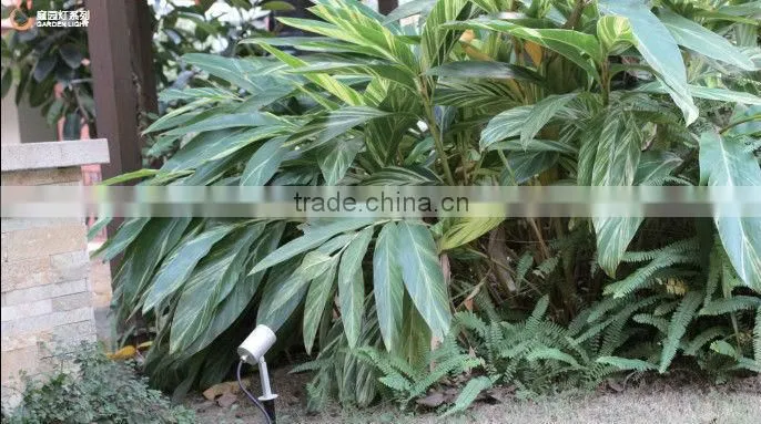 High power 12w led outdoor garden lighting