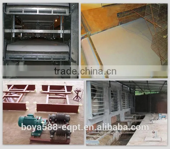 economic broiler chicken cage