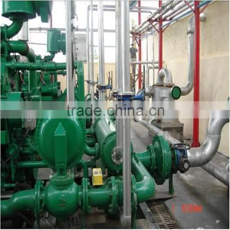 globle widly used 50kw mini LNG/CNG/LPG/Natural Gas Silent Generator famous engine