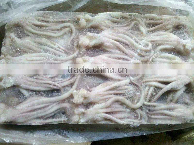 seafood squid head and tentacles