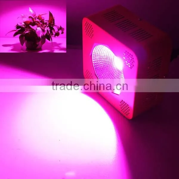 Full spectrum 3w led grow light all red bloom