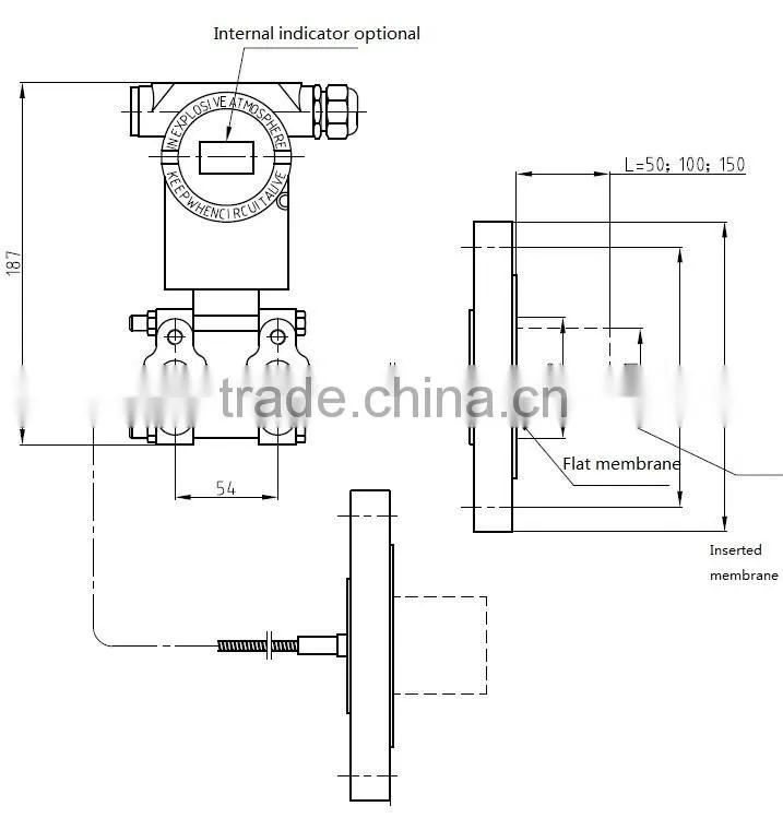 PT124B-3051DR Smart differential remote pressure transmitter