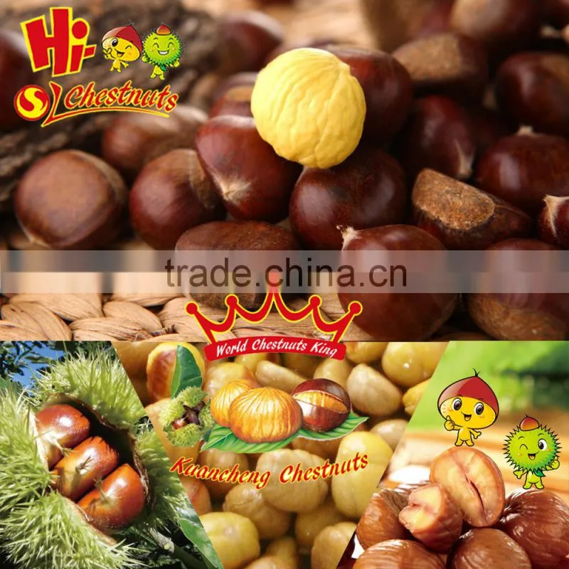 Frozen Roasted Chestnut In Shell IQF Roasted Chestnuts