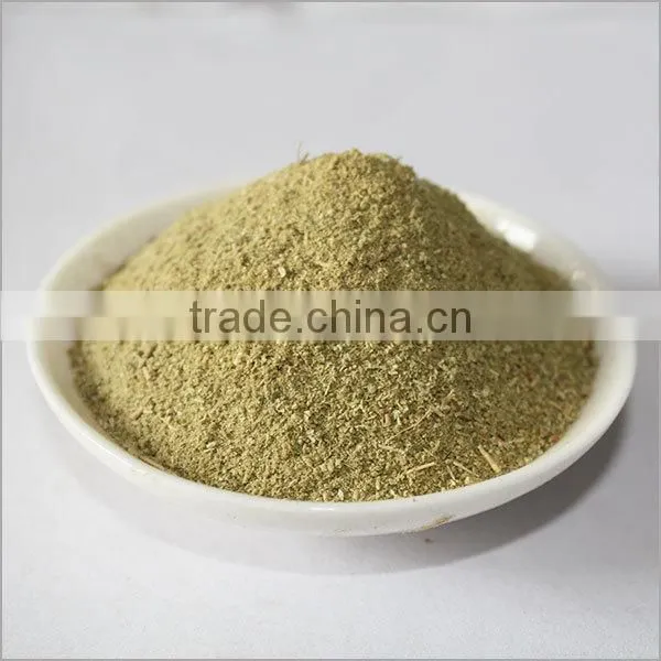 rosemary leaf powder
