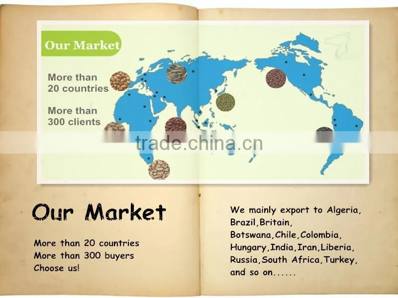 Marketing Of Agro Products Red Speckled Kidney Beans